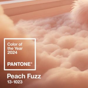Pantone Color of the Year 2024 Peach Fuzz